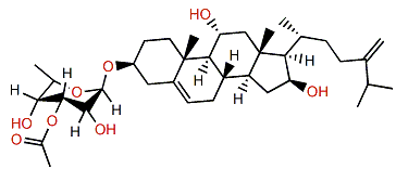 Crassarosteroside B
